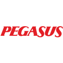 pegasus-airlines web checkin